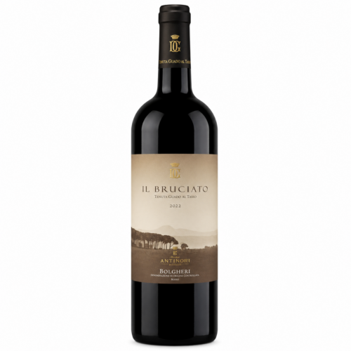Il Bruciato Bolgheri 2022